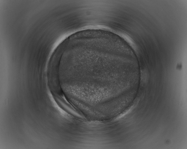 X0000092321046200710121518