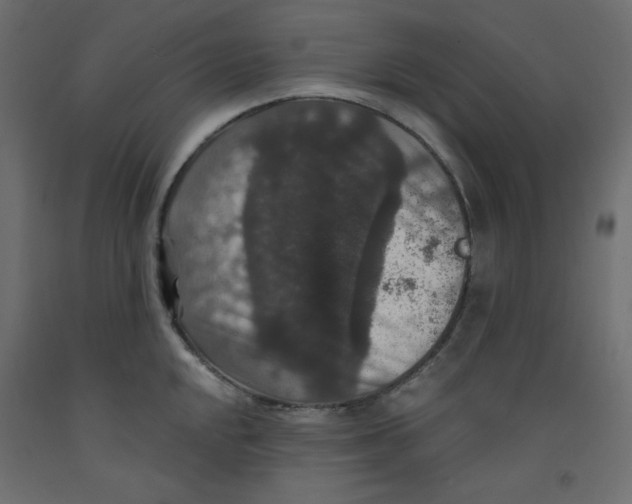 X0000092321048200710121518