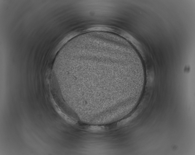X0000092321049200710121518