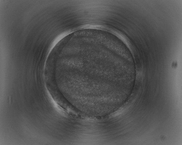 X0000092321050200710121518