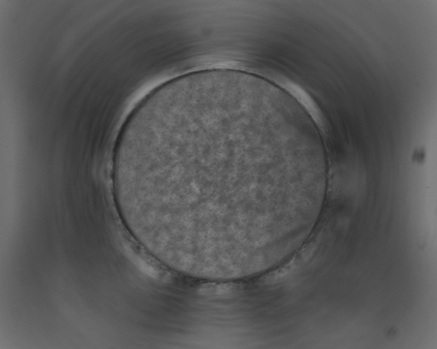 X0000092321051200710121518