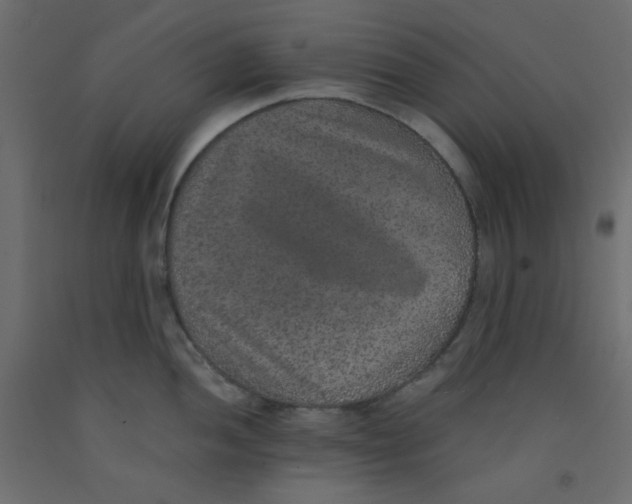 X0000092321052200710121518