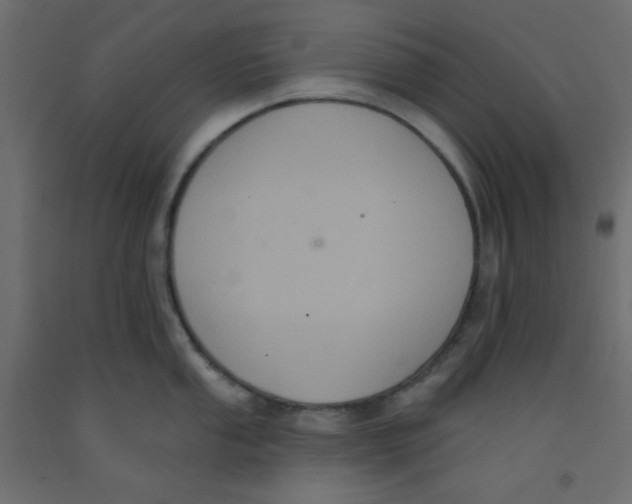 X0000092321053200710121518