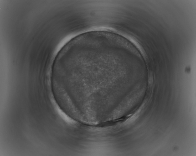 X0000092321054200710121518