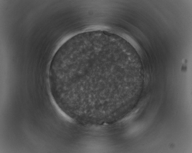 X0000092321055200710121518