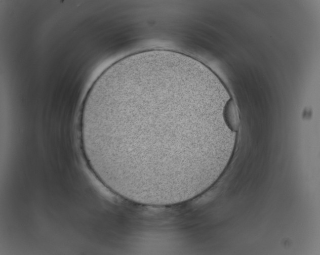X0000092321056200710121518