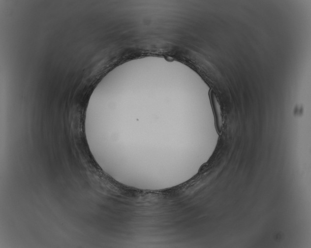X0000092321058200710121518