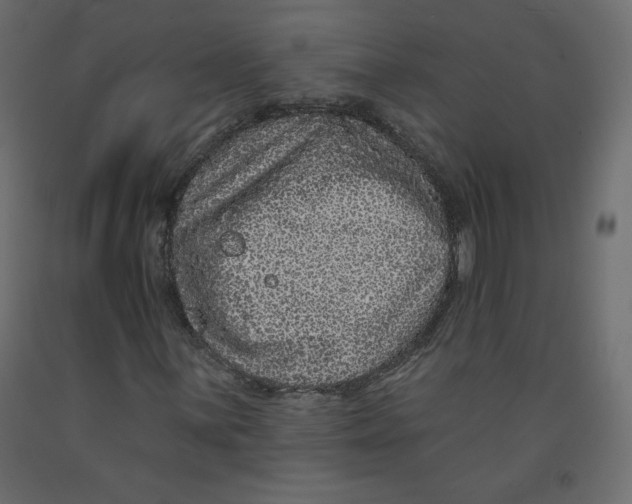 X0000092321059200710121518