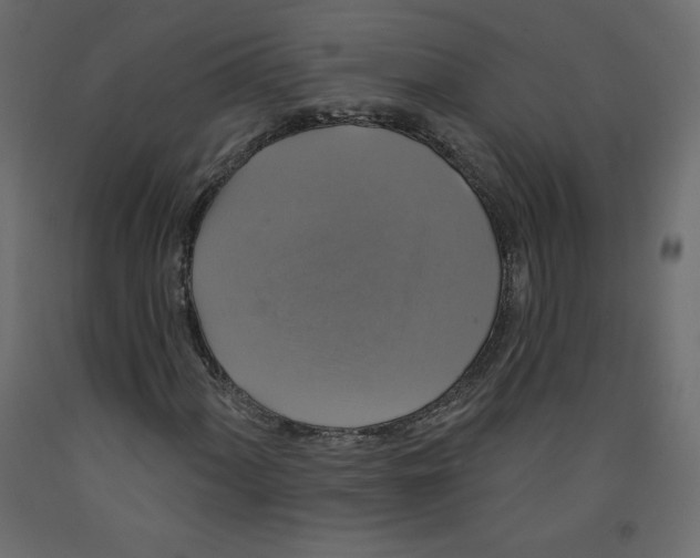 X0000092321060200710121518