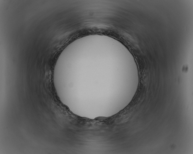 X0000092321061200710121518