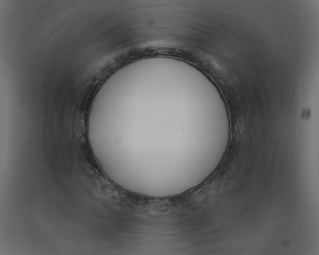 X0000092321062200710121518
