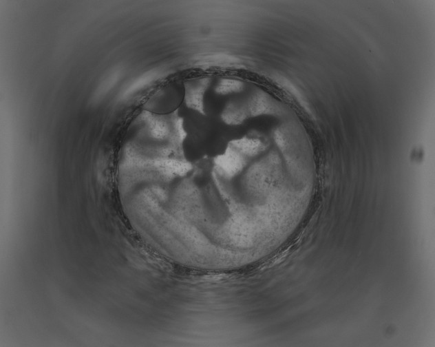 X0000092321063200710121518