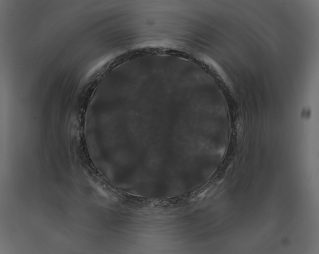 X0000092321064200710121518