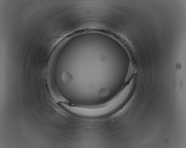 X0000092321065200710121518
