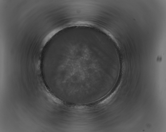 X0000092321066200710121518