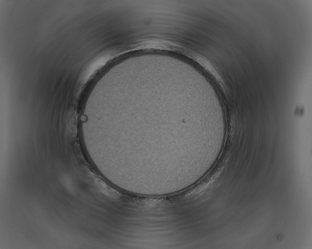 X0000092321067200710121518