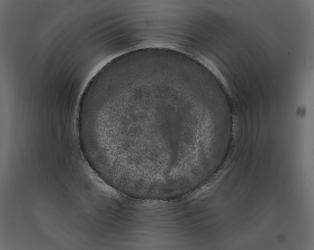 X0000092321068200710121518