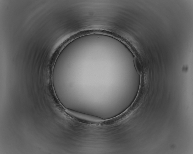 X0000092321069200710121518