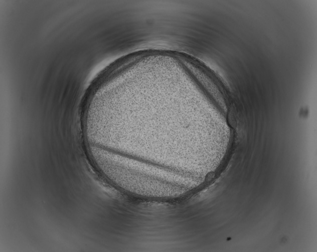 X0000092321070200710121518