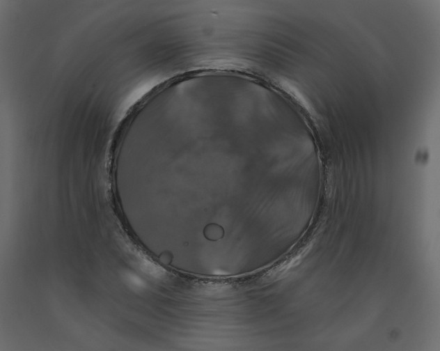 X0000092321071200710121518