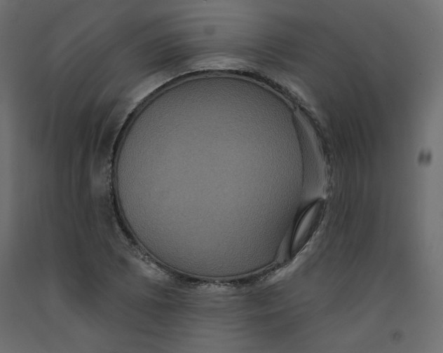 X0000092321073200710121518