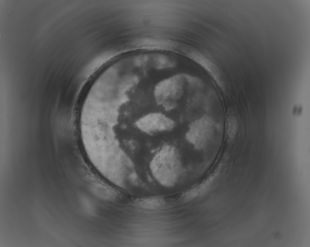 X0000092321074200710121518