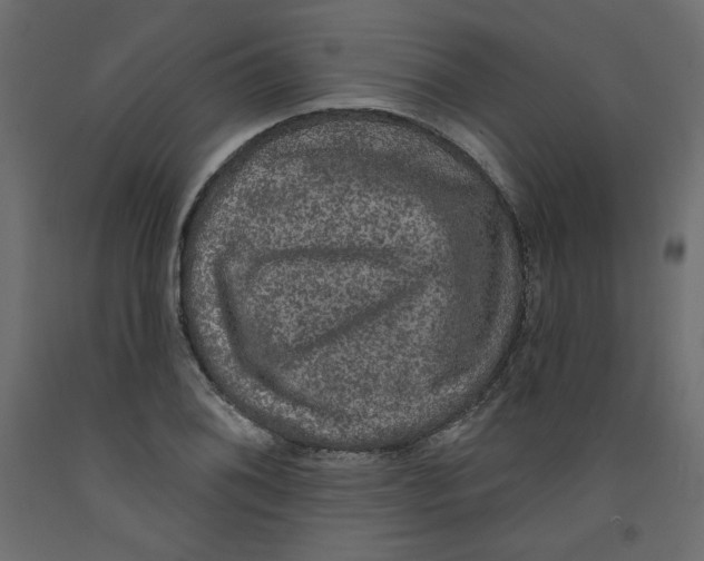 X0000092321076200710121518