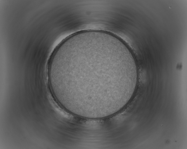 X0000092321078200710121518