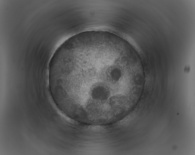 X0000092321079200710121518