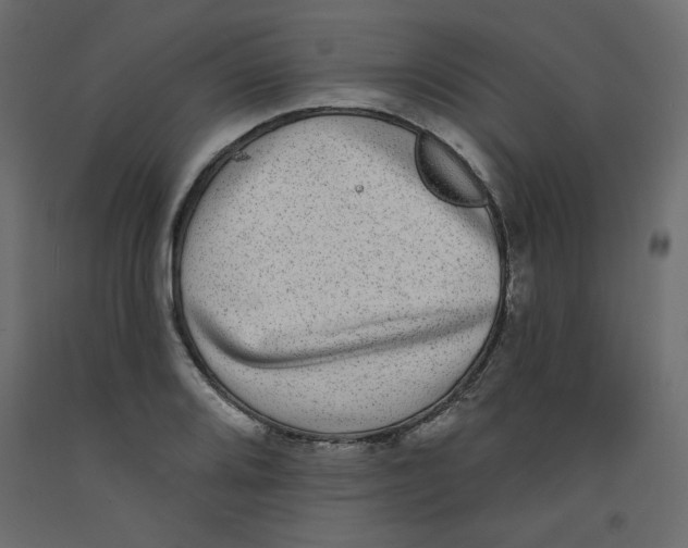 X0000092321080200710121518