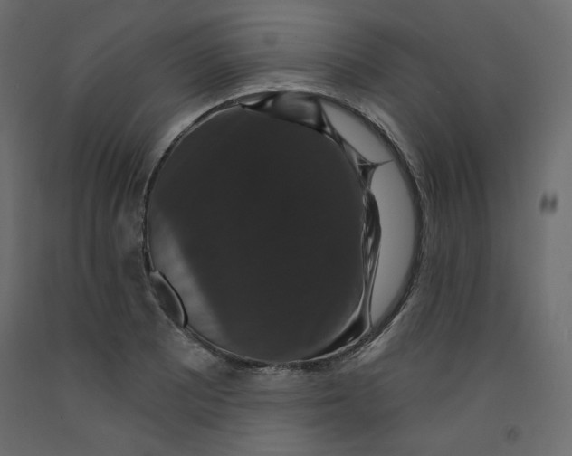 X0000092321081200710121518