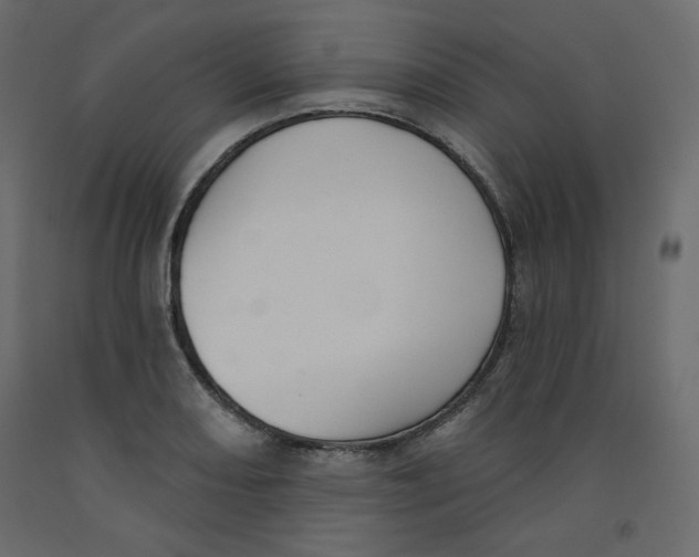 X0000092321082200710121518