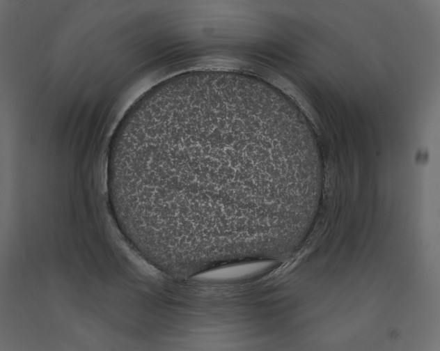 X0000092321083200710121518