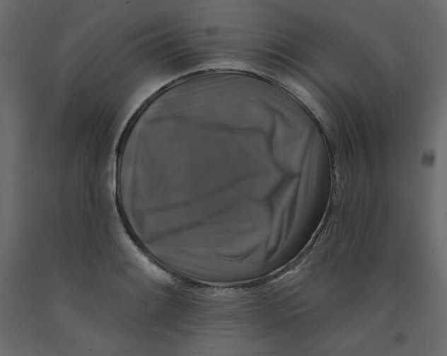 X0000092321084200710121518