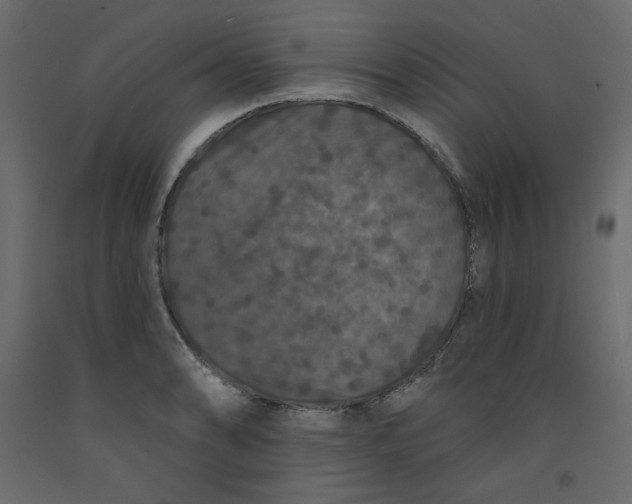 X0000092321086200710121518