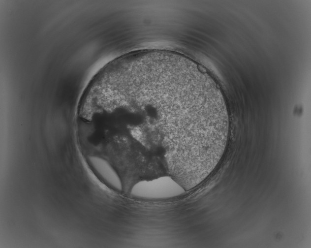 X0000092321087200710121518