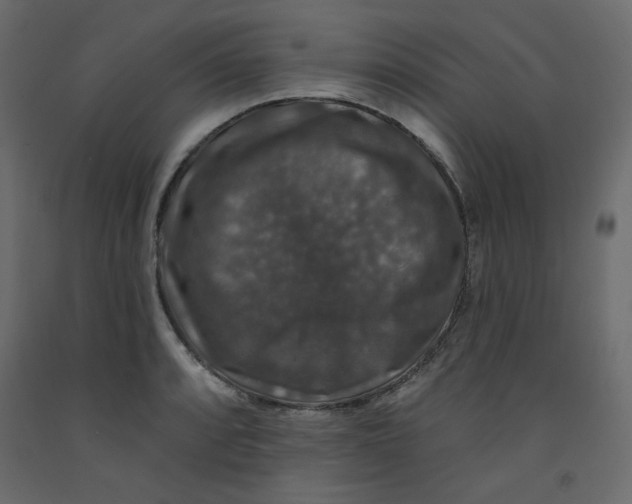 X0000092321088200710121518