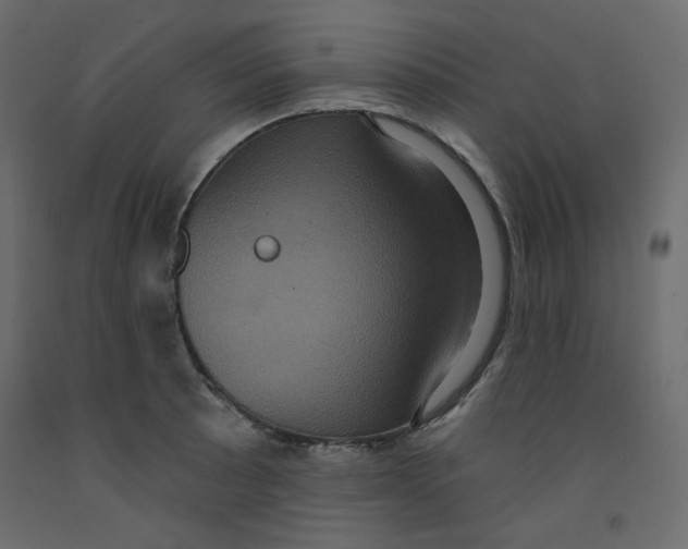X0000092321089200710121517