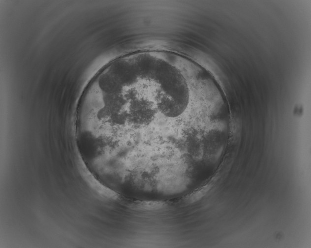 X0000092321090200710121517