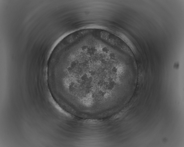 X0000092321092200710121517
