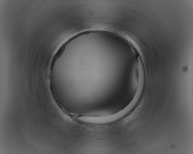 X0000092321093200710121517