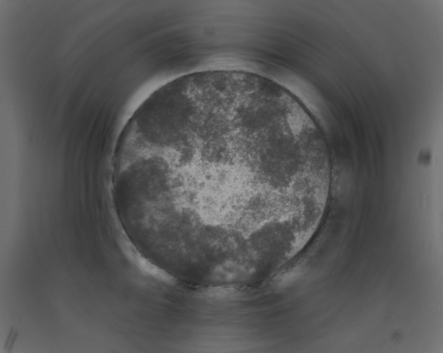 X0000092321094200710121517
