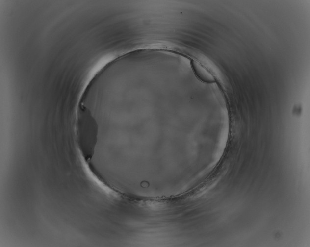 X0000092321095200710121517