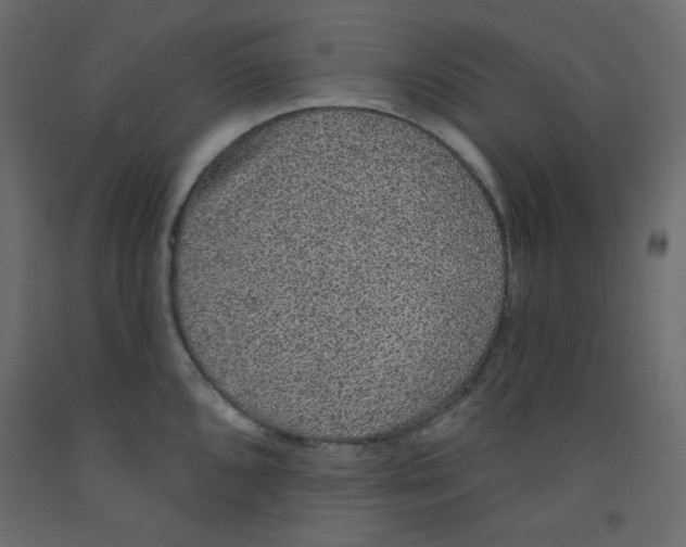 X0000092321096200710121517