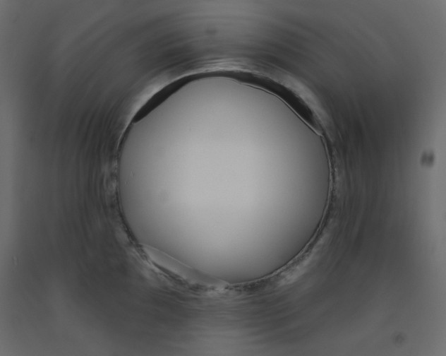 X0000092321097200710121517