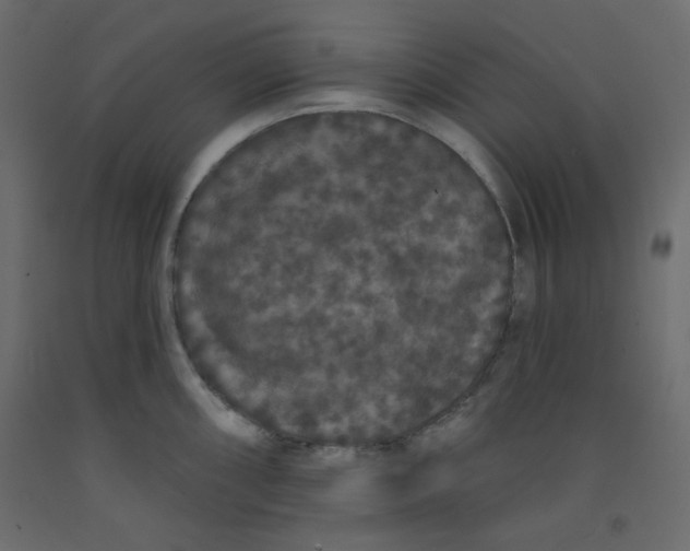 X0000092321098200710121517