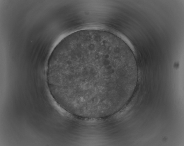 X0000092321099200710121517