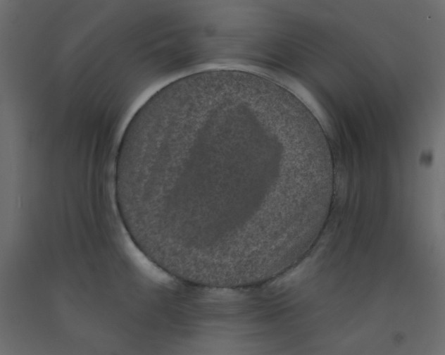 X0000092321100200710121517