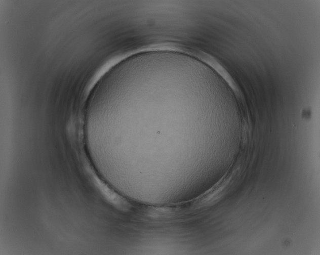 X0000092321101200710121517