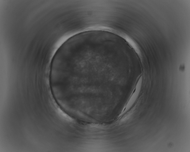 X0000092321102200710121517